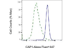 Validation of CAP1 knockdown using flow cytometry.