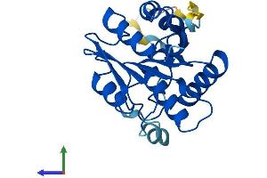 Protein Structure (PS) image for Ovarian Tumor Suppressor Candidate 2 (OVCA2) (AA 1-227) protein (His tag) (ABIN7550478)