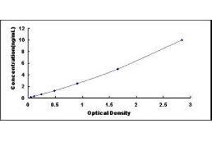 ELISA image for RalA Binding Protein 1 (RALBP1) ELISA Kit (ABIN422876)
