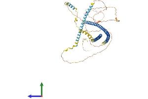 AlphaFold protein structure predicition of Human Recombinant IFFO1 Protein, UniprotID Q0D2I5 (IFFO1 Protein (AA 1-559) (His tag))