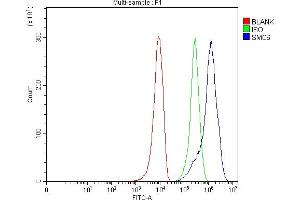 Flow Cytometry analysis of 293T cells using anti-SMC6 antibody (ABIN7601864).