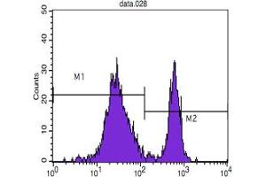 Flow cytometric analysis of blood T cells using CD4 mouse mAb (M2) and negative control (M1). (CD4 antibody)