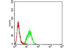 Flow cytometric analysis of Hela cells using MITF mouse mAb (green) and negative control (red). (MITF antibody  (AA 1-114))