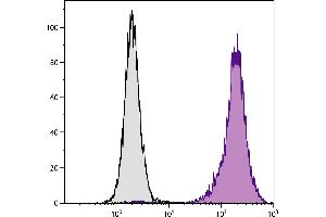 Human peripheral blood granulocytes were stained with Mouse Anti-Human CD11b-PE. (CD11b antibody  (PE))