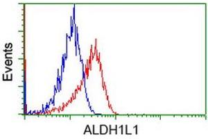 Image no. 2 for anti-Aldehyde Dehydrogenase 1 Family, Member L1 (ALDH1L1) antibody (ABIN1496582) (ALDH1L1 antibody)
