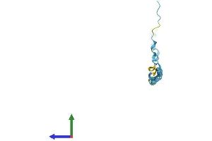 Protein Structure (PS) image for Small Proline-Rich Protein 2E (SPRR2E) (AA 1-76) protein (Fc Tag) (ABIN7562566)