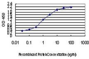 Detection limit for recombinant GST tagged MYBPC1 is approximately 0. (MYBPC1 antibody  (AA 506-603))