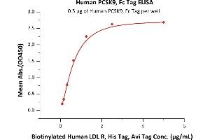Immobilized Human PCSK9, Fc Tag (ABIN6386430,ABIN6388267) at 5 μg/mL (100 μL/well) can bind Biotinylated Human LDL R, His Tag, Avi Tag (ABIN5954921,ABIN6253570) with a linear range of 0. (PCSK9 Protein (AA 31-692) (Fc Tag))