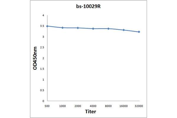 PVRL4 antibody  (AA 151-250)