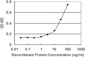 Detection limit for recombinant GST tagged MUSK is 1 ng/ml as a capture antibody. (MUSK antibody  (AA 301-400))