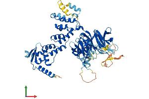 AlphaFold protein structure predicition of Human Recombinant KBTBD2 Protein, UniprotID Q8IY47 (KBTBD2 Protein (AA 1-623) (His tag))