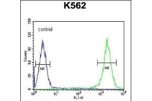 Flow Cytometry (FACS) image for anti-Transcription Factor A, Mitochondrial (TFAM) (AA 216-246), (C-Term) antibody (ABIN654229)