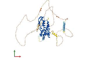 AlphaFold protein structure predicition of Mouse Recombinant Ccdc82 Protein, UniprotID Q6PG04 (CCDC82 Protein (AA 1-518) (His tag))