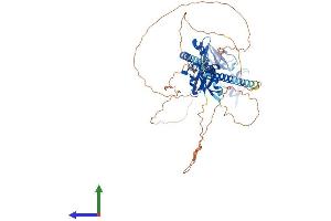 AlphaFold protein structure predicition of Human Recombinant FMR1 Protein, UniprotID Q06787 (FMR1 Protein (AA 1-632) (His tag))
