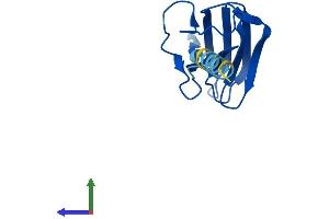 AlphaFold protein structure predicition of Mouse Recombinant Ptges3l Protein, UniprotID Q9D9A7 (Ptges3l Protein (AA 1-131) (His tag))