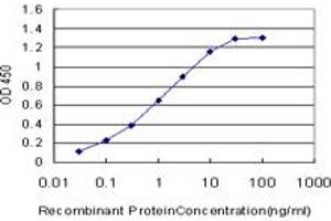 Detection limit for recombinant GST tagged DMPK is approximately 0. (DMPK antibody  (AA 303-420))