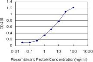Detection limit for recombinant GST tagged C1orf19 is approximately 0. (TSEN15 antibody  (AA 72-170))