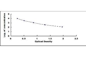 Typical standard curve (Vitamin B12 ELISA Kit)