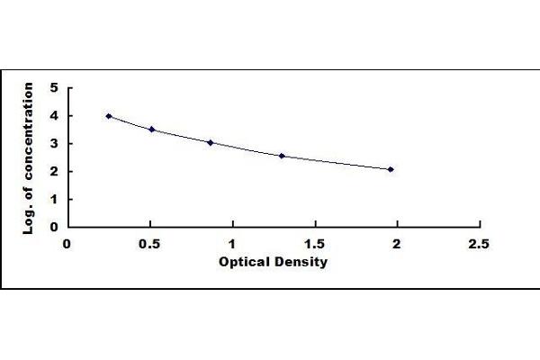 Vitamin B12 ELISA Kit