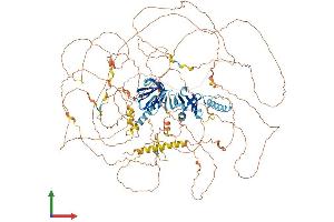 AlphaFold protein structure predicition of Mouse Recombinant Irs4 Protein, UniprotID Q9Z0Y7 (IRS4 Protein (AA 1-1216) (His tag))