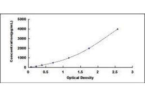 Fatty Acid Desaturase 1 (FADS1) ELISA Kit