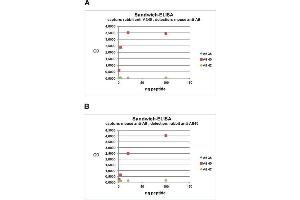 ELISA image for anti-Amyloid beta 1-40 (Abeta 1-40) (AA 33-40) antibody (ABIN1742443) (Abeta 1-40 antibody  (AA 33-40))