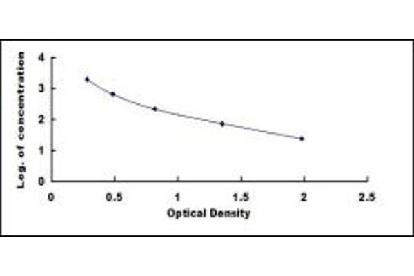 GLP-2 ELISA Kit