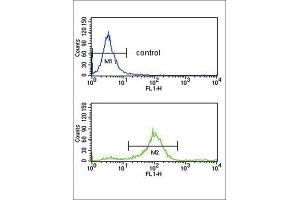Flow Cytometry (FACS) image for anti-Secreted Frizzled-Related Protein 1 (SFRP1) antibody (ABIN3004008) (SFRP1 antibody)