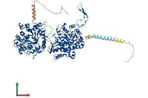 AlphaFold protein structure predicition of Human Recombinant KLB Protein, UniprotID Q86Z14 (Klotho beta Protein (KLB) (AA 1-1044) (His tag))