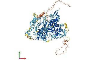 Protein Structure (PS) image for Glycerol-3-Phosphate Acyltransferase 2, Mitochondrial (GPAT2) (AA 1-801) protein (His tag) (ABIN7556988)