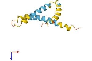 AlphaFold protein structure predicition of Human Recombinant HIGD1C Protein, UniprotID A8MV81 (HIGD1C Protein (AA 1-97) (His tag))