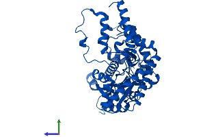 AlphaFold protein structure predicition of Human Recombinant DDC Protein, UniprotID P20711 (DDC Protein (AA 1-480) (His tag))