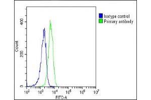 Overlay histogram showing K562 cells stained with (ABIN652508 and ABIN2842341)(green line). (SREBF chaperone antibody  (AA 604-632))