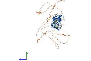 Protein Structure (PS) image for Torsin A Interacting Protein 1 (TOR1AIP1) (AA 1-583) protein (His tag) (ABIN7555834)