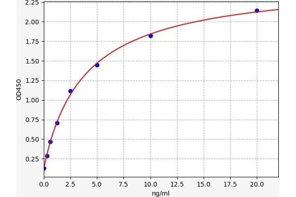 COQ10B ELISA Kit