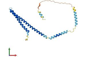 AlphaFold protein structure predicition of Human Recombinant CHMP4A Protein, UniprotID Q9BY43
