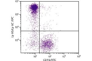 BALB/c mouse bone marrow cells were stained with Rat Anti-Mouse Ly-6G/Ly-6C-APC. (LY6C + LY6G antibody (Cy5))