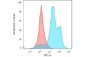 Flow Cytometric Analysis of paraformaldehyde-fixed HeLa cells using Histone H1 Rabbit Recombinant Monoclonal Antibody (HH1/1784R) followed by goat anti-rabbit IgG-CF488 (Blue); Isotype Control (Red). (Recombinant Histone H1 antibody)