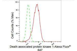 Flow cytometric analysis of Death associated protein kinase 1 expression in HepG2 cells using Death associated protein kinase 1 antibody (ABIN7798295), 1:2,000). (Recombinant DAP Kinase 1 antibody)