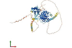 AlphaFold protein structure predicition of Mouse Recombinant Tmco4 Protein, UniprotID Q91WU4 (TMCO4 Protein (AA 1-631) (His tag))