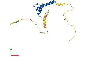 AlphaFold protein structure predicition of Human Recombinant ID4 Protein, UniprotID P47928 (ID4 Protein (AA 1-161) (His tag))