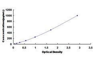 Vascular Endothelial Cell Growth Factor 121 (VEGF121) ELISA Kit