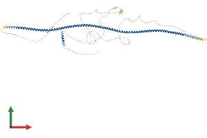 Protein Structure (PS) image for Coiled-Coil Domain Containing 62 (CCDC62) (AA 1-701) protein (His tag) (ABIN7562118)
