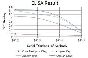 Red: Control Antigen (100 ng), Purple: Antigen (10 ng), Green: Antigen (50 ng), Blue: Antigen (100 ng), (c-MYC antibody)