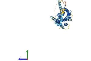 AlphaFold protein structure predicition of Mouse Recombinant Mrgprx2 Protein, UniprotID Q3UG50 (MRGPRX2 Protein (AA 1-352) (His tag))