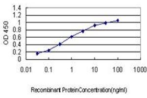 Detection limit for recombinant GST tagged ATF4 is approximately 0. (ATF4 antibody  (AA 171-270))