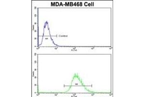 Flow cytometric analysis of MDA-M cells using SCFD1 Antibody (C-term)(bottom histogram) compared to a negative control cell (top histogram)FITC-conjugated goat-anti-rabbit secondary antibodies were used for the analysis.