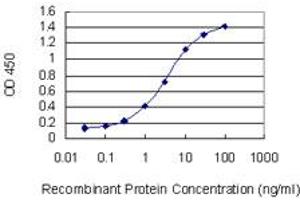 Detection limit for recombinant GST tagged CGB5 is 0. (CGB5 antibody  (AA 1-165))