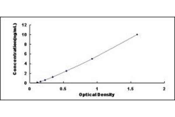 Desmin ELISA Kit