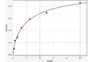 Typical standard curve (SLC45A1 ELISA Kit)
